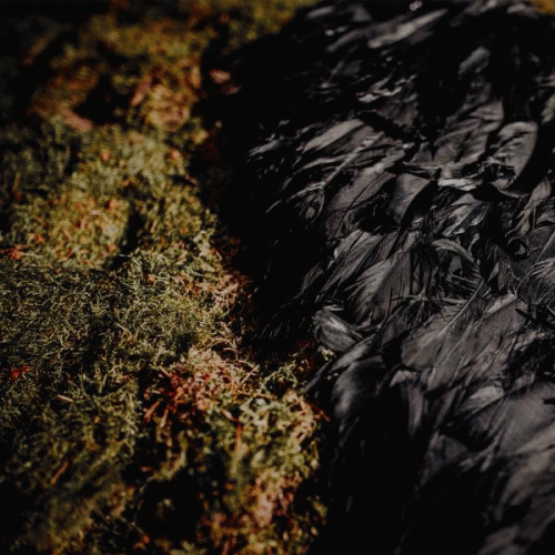 Future Palace : Paradise